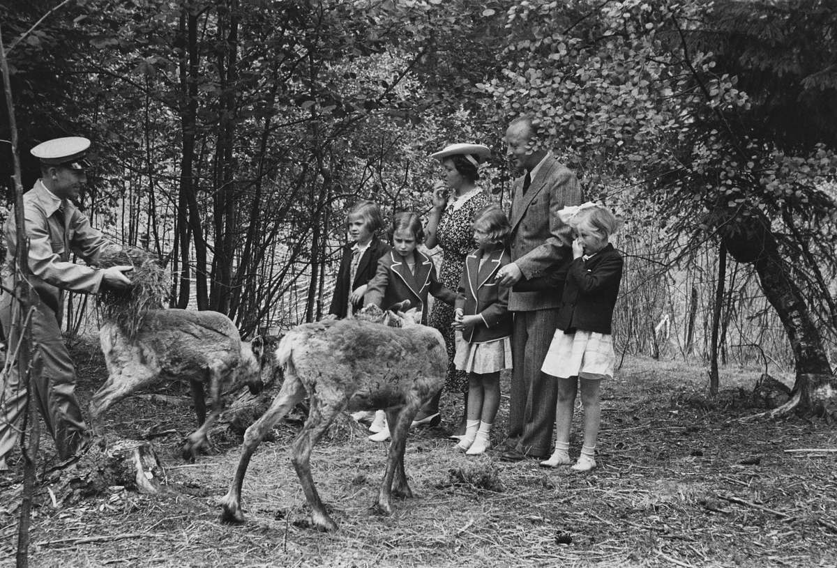 Anders Beer Wilse, Prot: Gjersjöviken