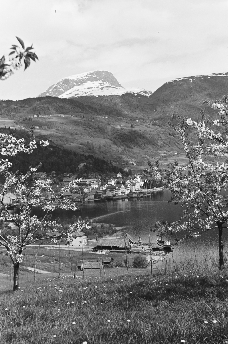 Anders Beer Wilse, Prot: Ulvik