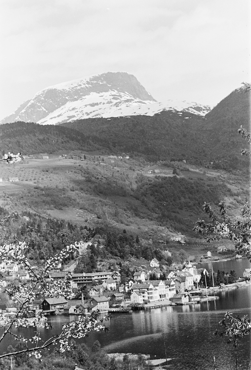 Anders Beer Wilse, Prot: Ulvik
