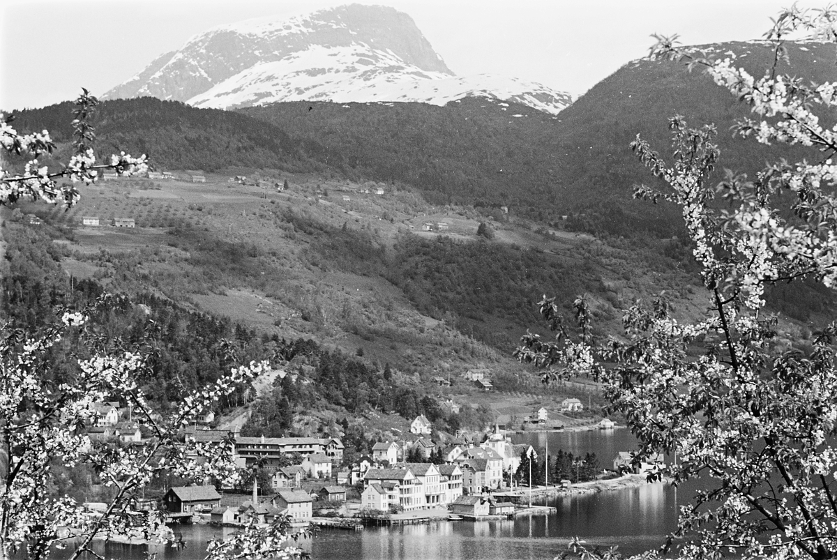 Anders Beer Wilse, Prot: Ulvik