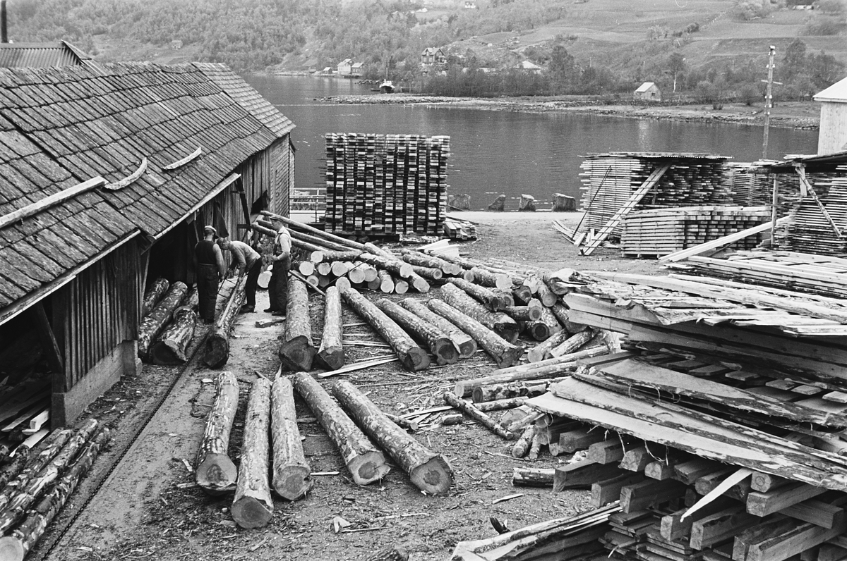 Anders Beer Wilse, Prot: Ulvik
