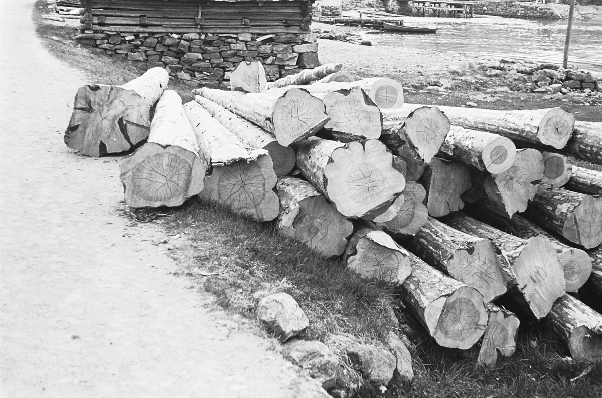 Anders Beer Wilse, Prot: Ulvik Se 11907 Ullensvang
