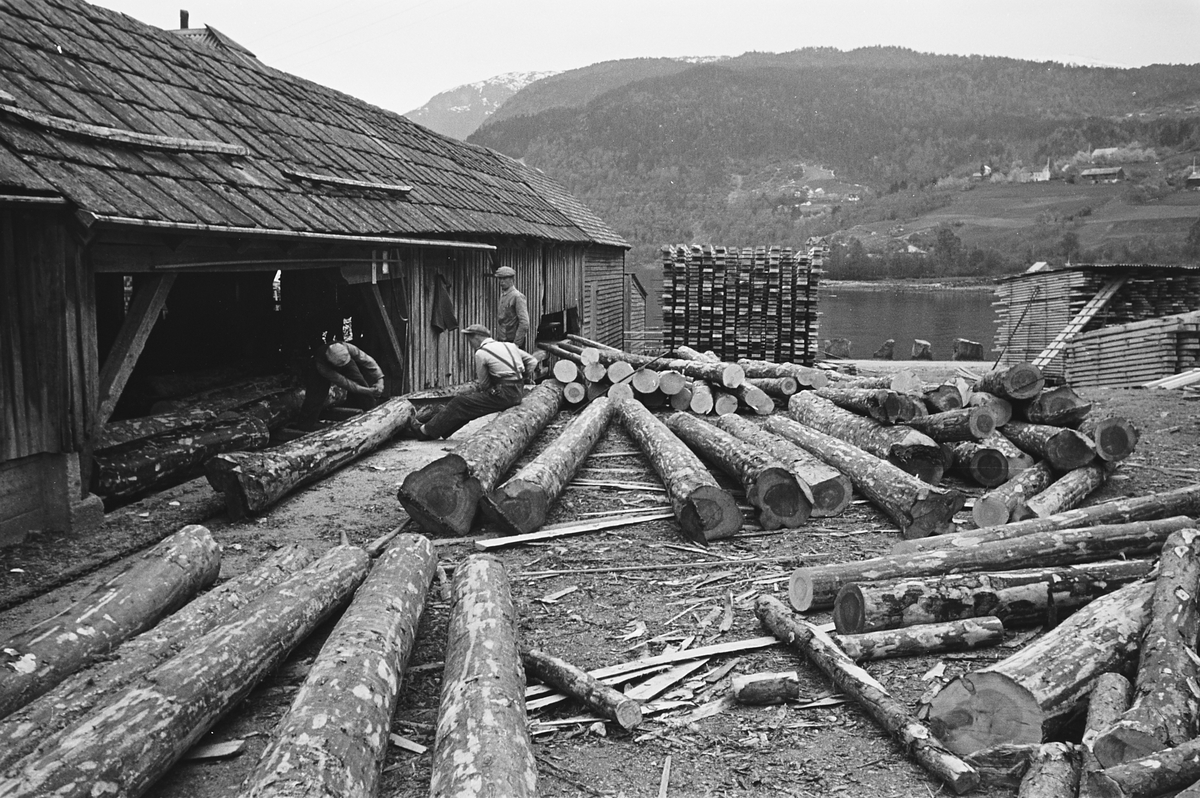 Anders Beer Wilse, Prot: Ulvik