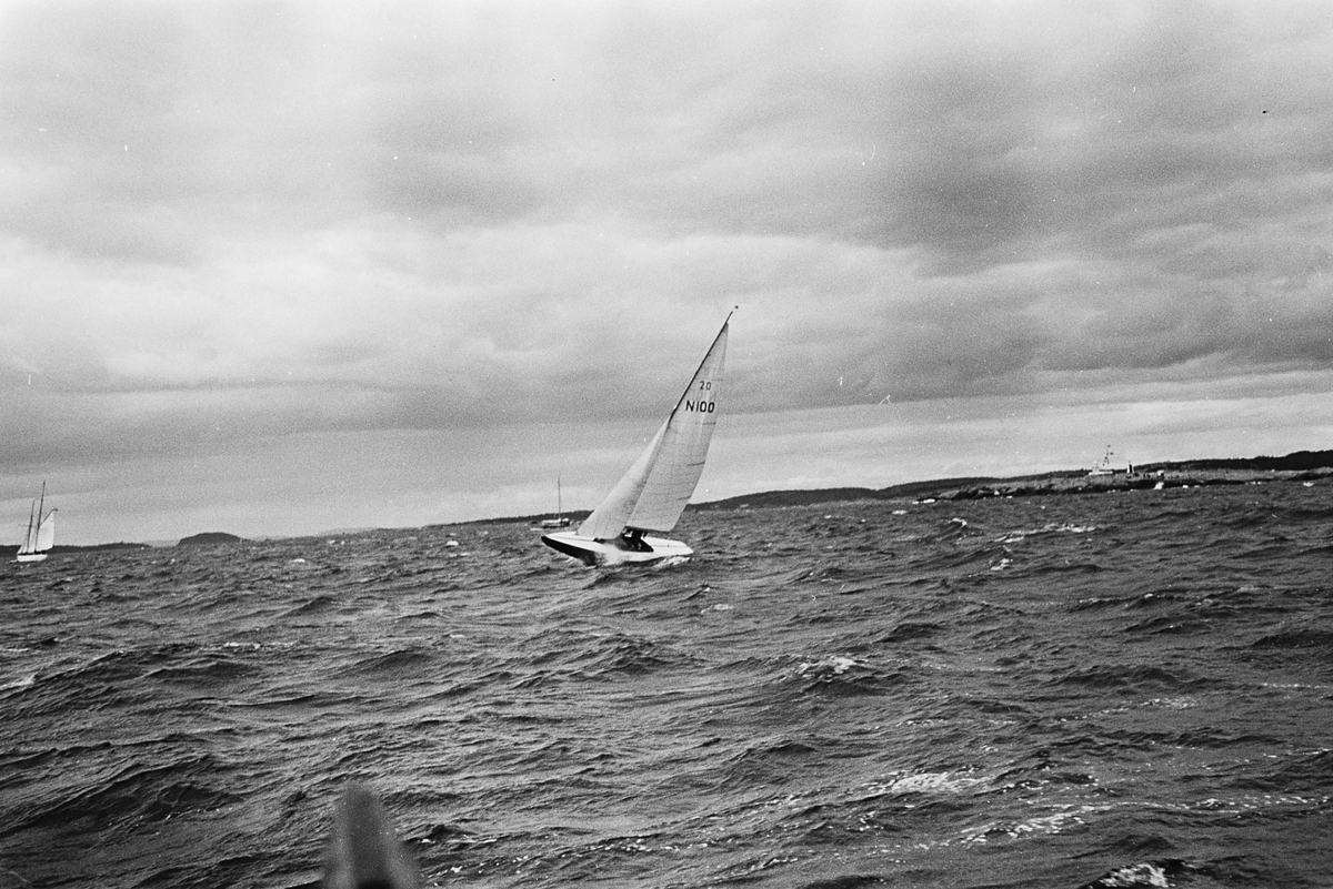 Anders Beer Wilse, Prot: Hanköregatta