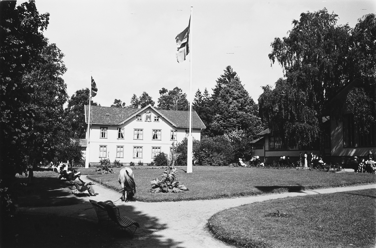 Anders Beer Wilse, Prot: Hankö Bad
