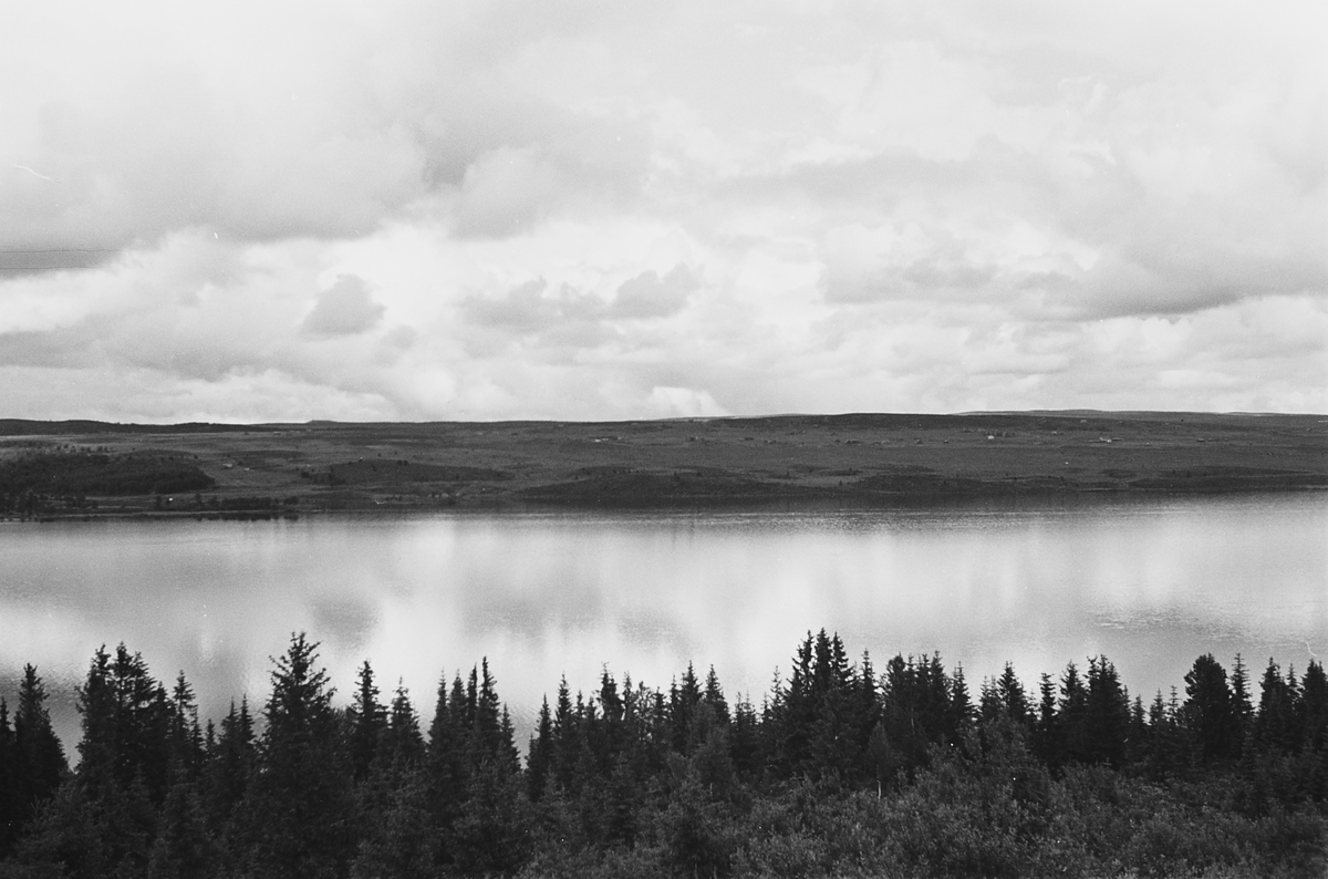 Anders Beer Wilse, Prot: Tisleifjorden