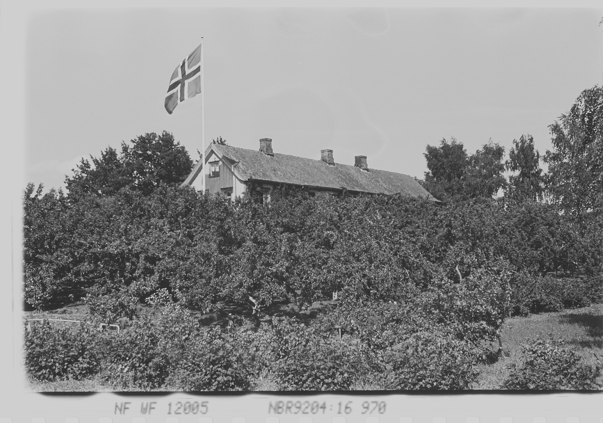 Anders Beer Wilse, Prot: Hedemark