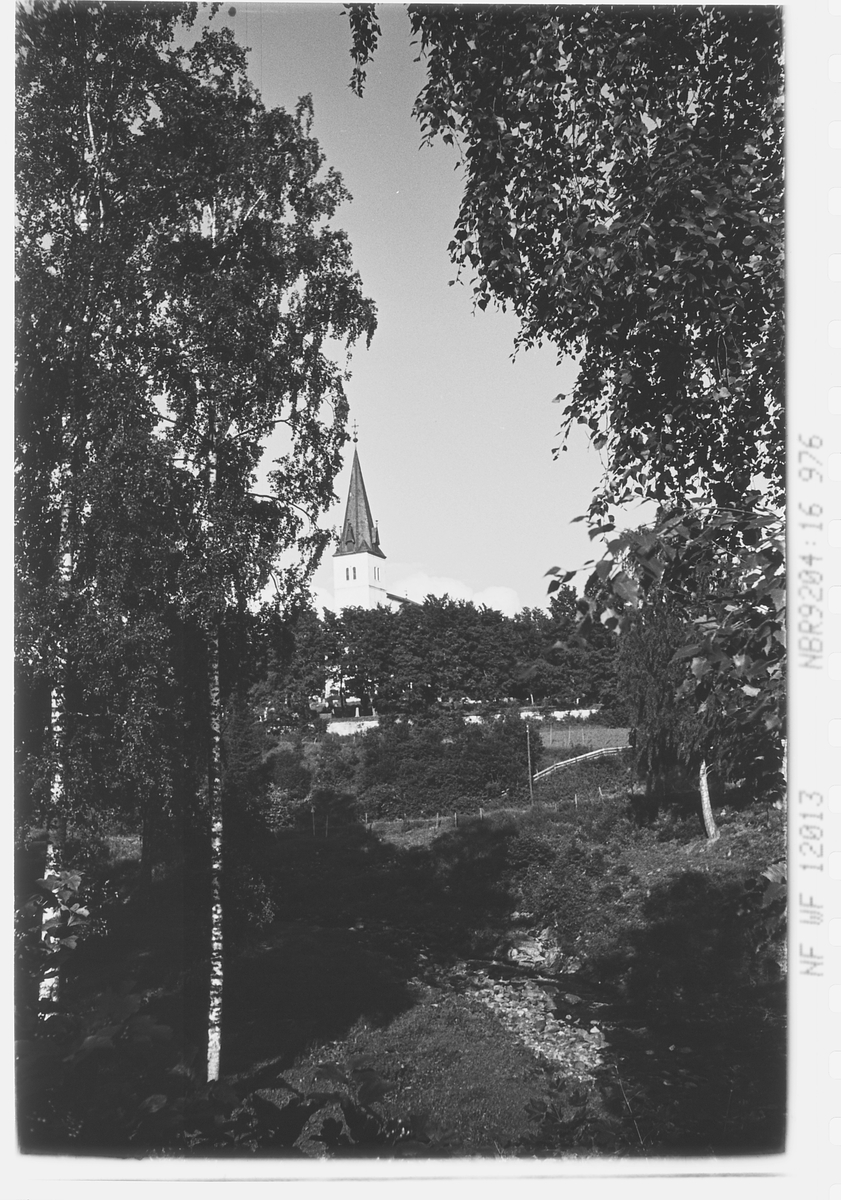 Anders Beer Wilse, Prot: Hedemark
