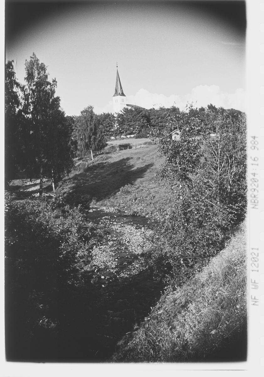 Anders Beer Wilse, Prot: Hedemark