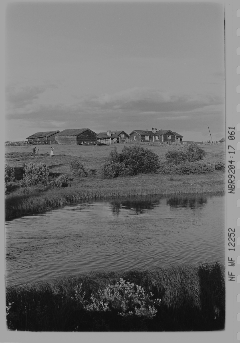 Anders Beer Wilse, Prot: Hierkjölen Fjellgård