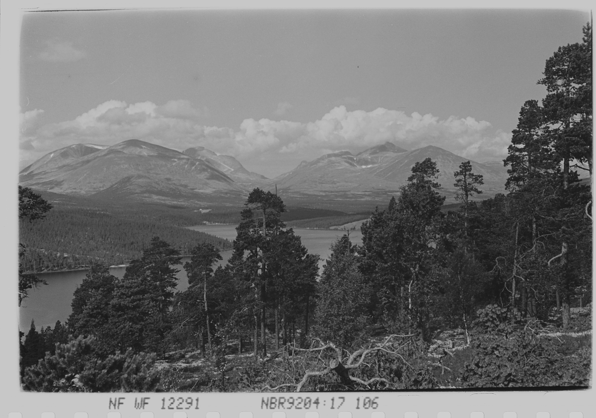 Anders Beer Wilse, Prot: Rondane fra veien Sollia - Foldal