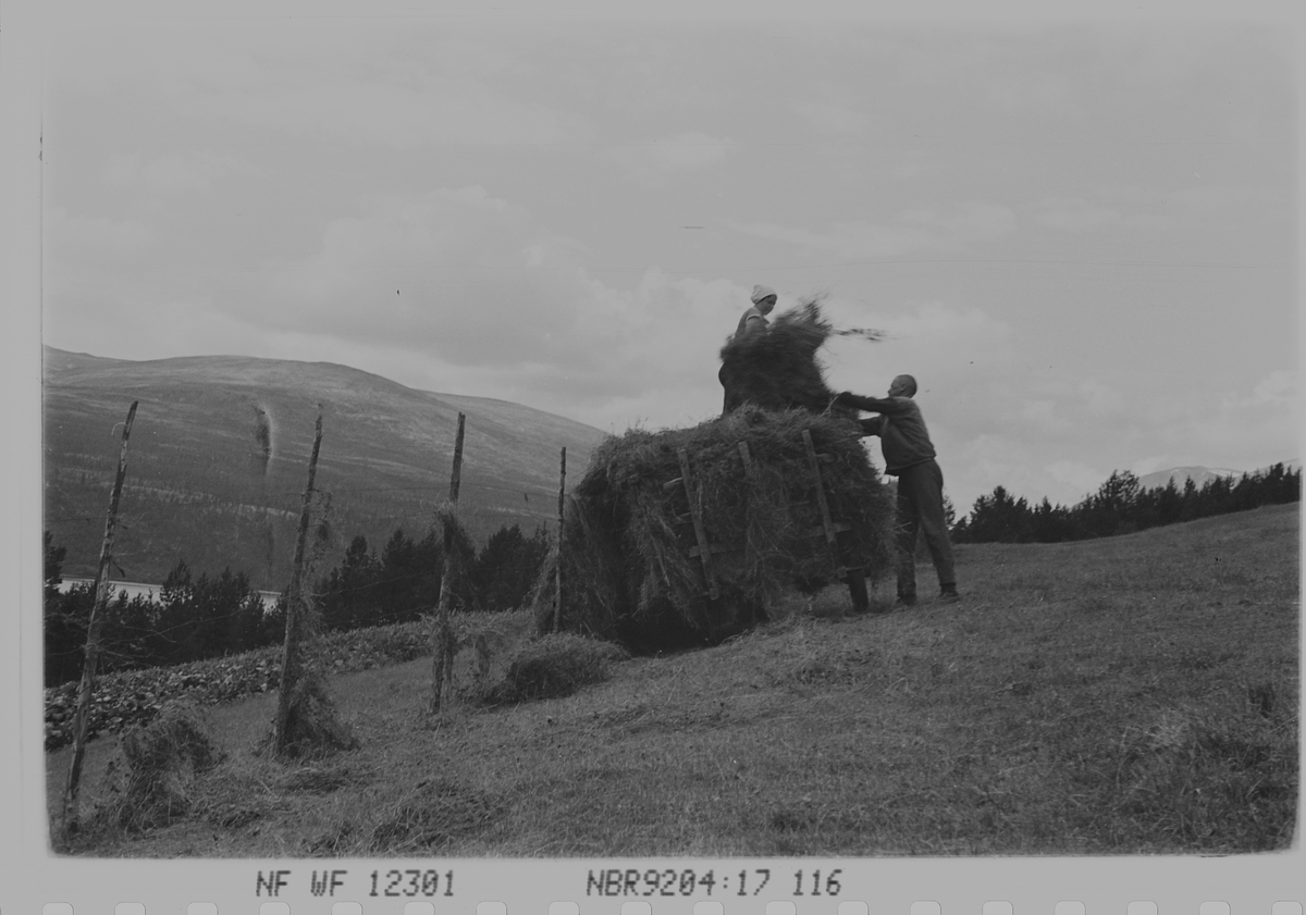 Anders Beer Wilse, Prot: Höiond ved Atnasjöen