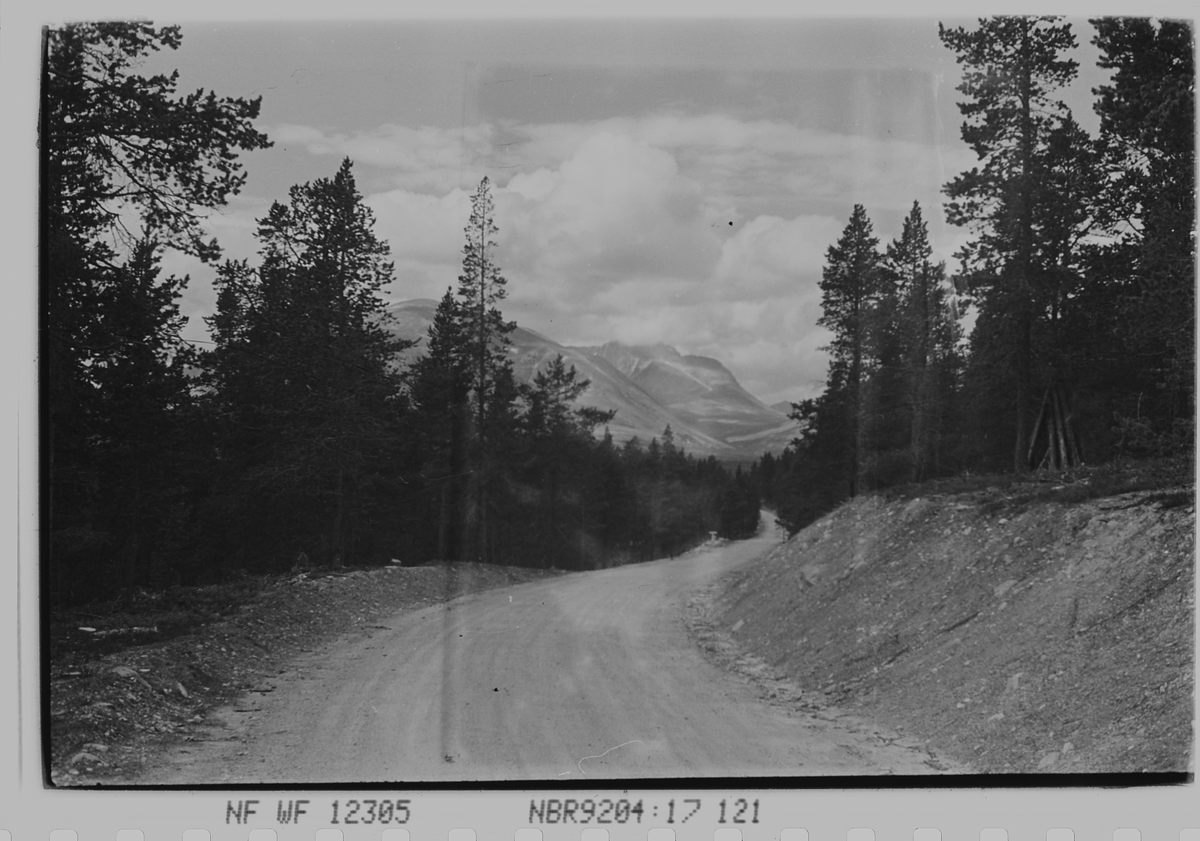 Anders Beer Wilse, Prot: Veiparti Rondane - Atnasjöen