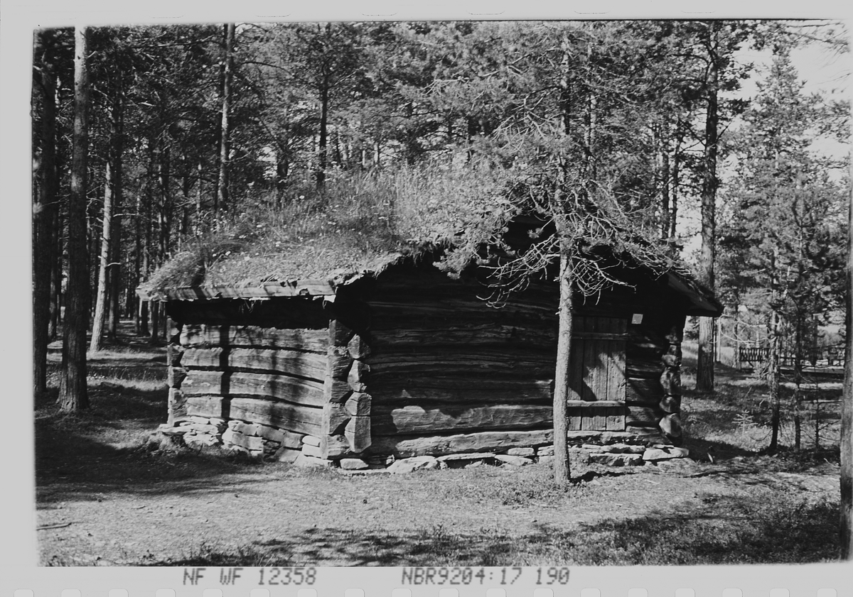 Anders Beer Wilse, Prot: Tömmerkoie