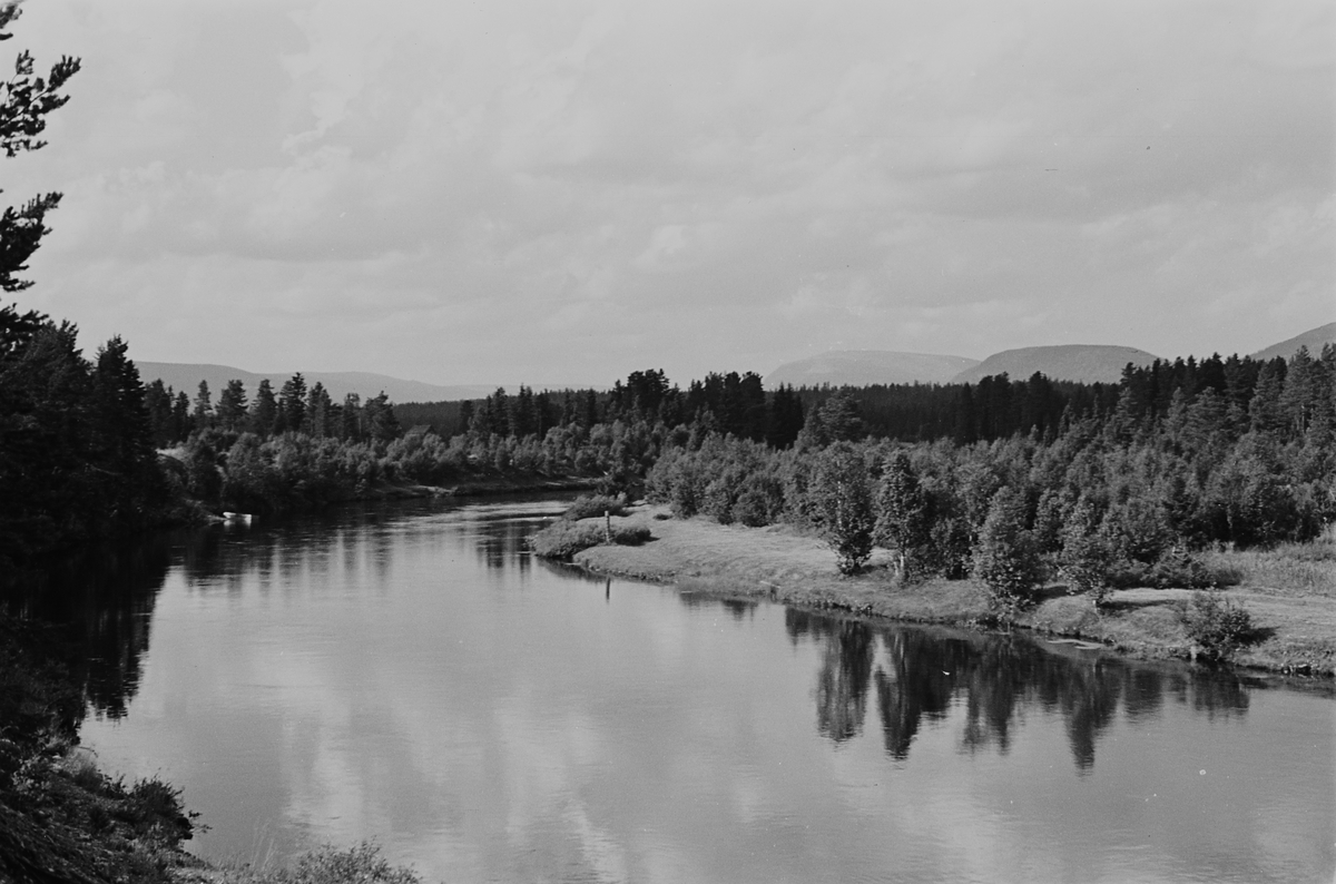 Anders Beer Wilse, Prot: Lördalen Löra