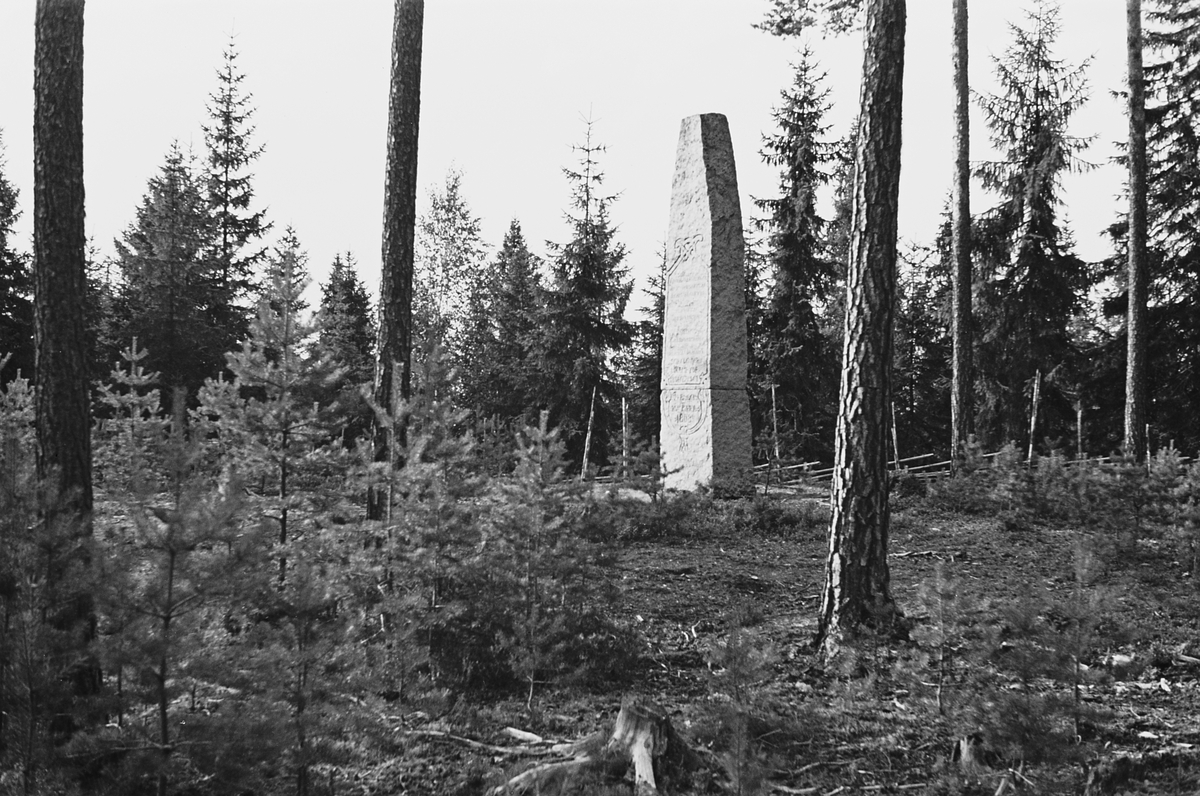 Anders Beer Wilse, Prot: Trangen bautasten