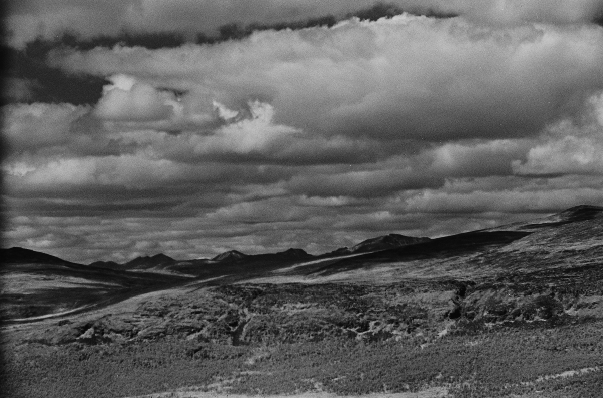 Anders Beer Wilse, Prot: Rondane fra Storfjellseter