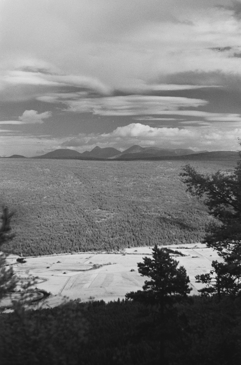 Anders Beer Wilse, Prot: Stor Sölen fra Storfjellseter