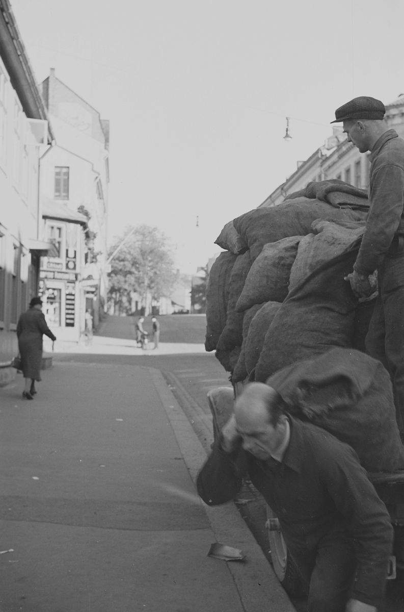 Anders Beer Wilse, Prot: Koks transport