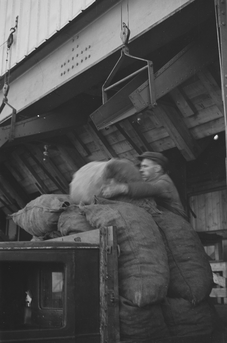 Anders Beer Wilse, Prot: Koks transport