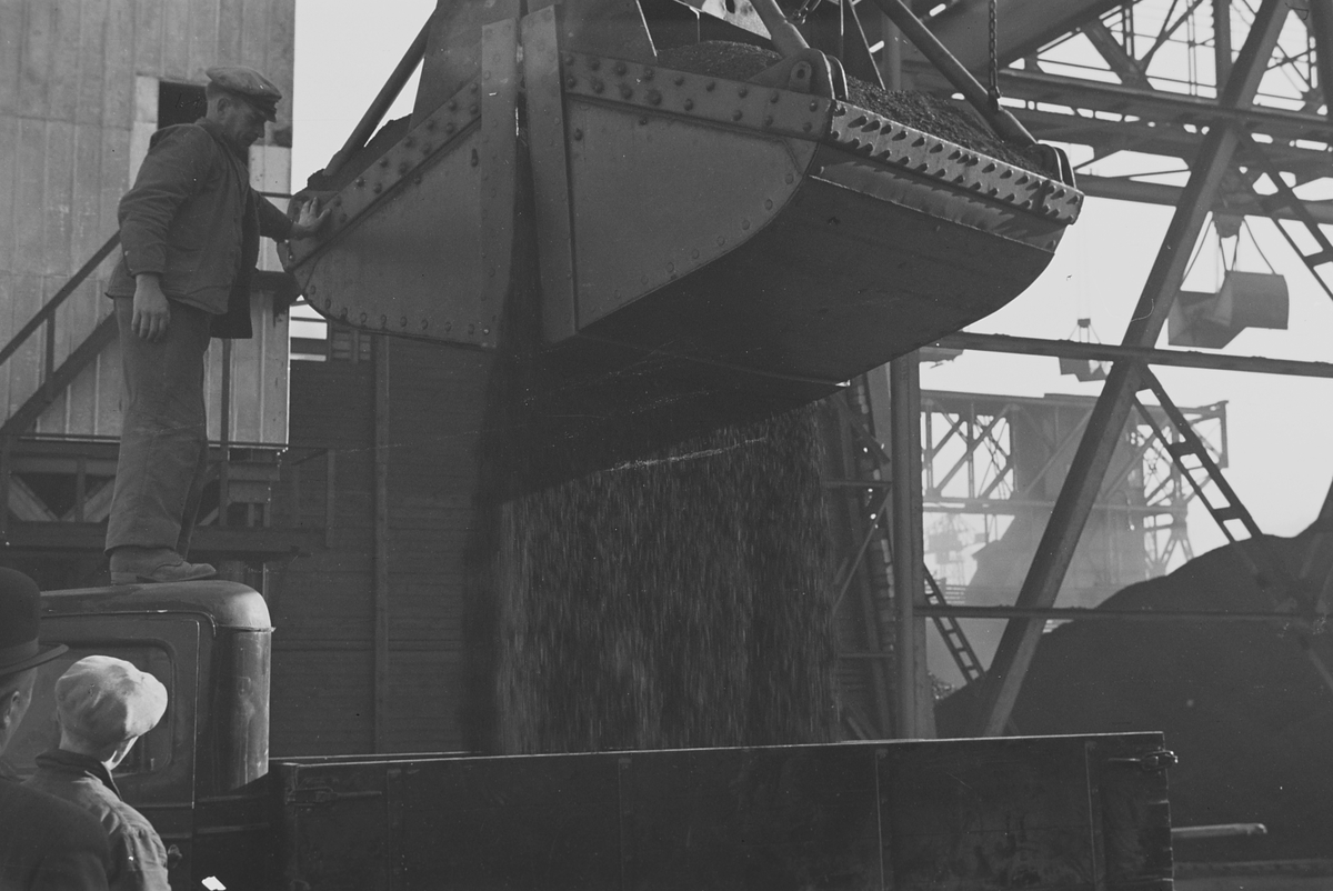 Anders Beer Wilse, Prot: Koks transport