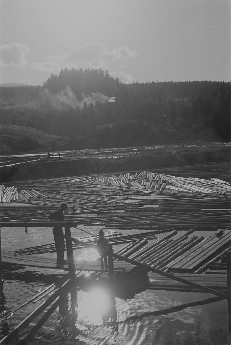 Anders Beer Wilse, Prot: Nordmarka vann