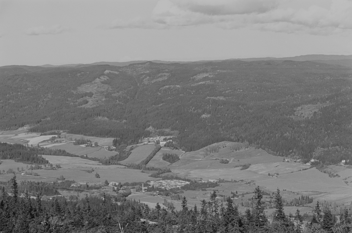 Anders Beer Wilse, Prot: Nordmarka Utsigt Varingskollen