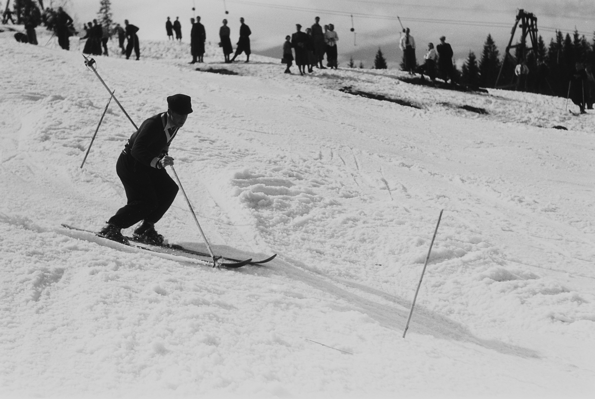 Anders Beer Wilse, Prot: Slalum