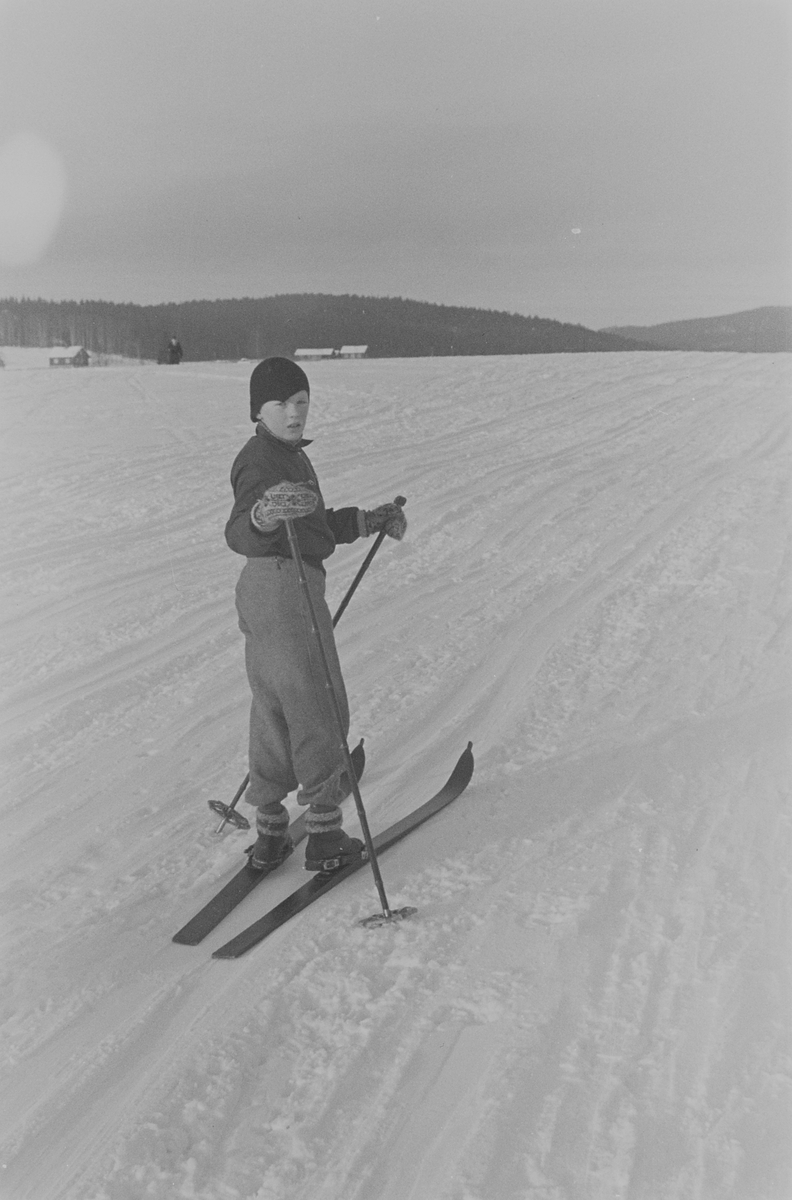 Anders Beer Wilse, Prot: Skilöper