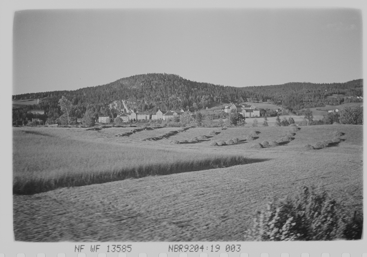 Anders Beer Wilse, Landskap. Antatt rundt Drammen. Fotografert 1940.