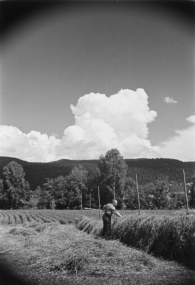 Anders Beer Wilse, Prot: Höiånd Mjöndalen