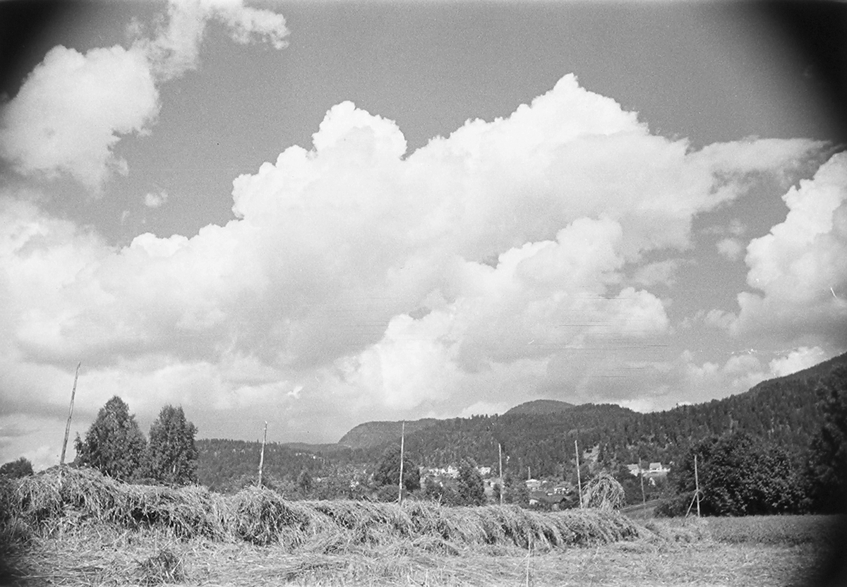 Anders Beer Wilse, Prot: Höiånd Mjøndalen