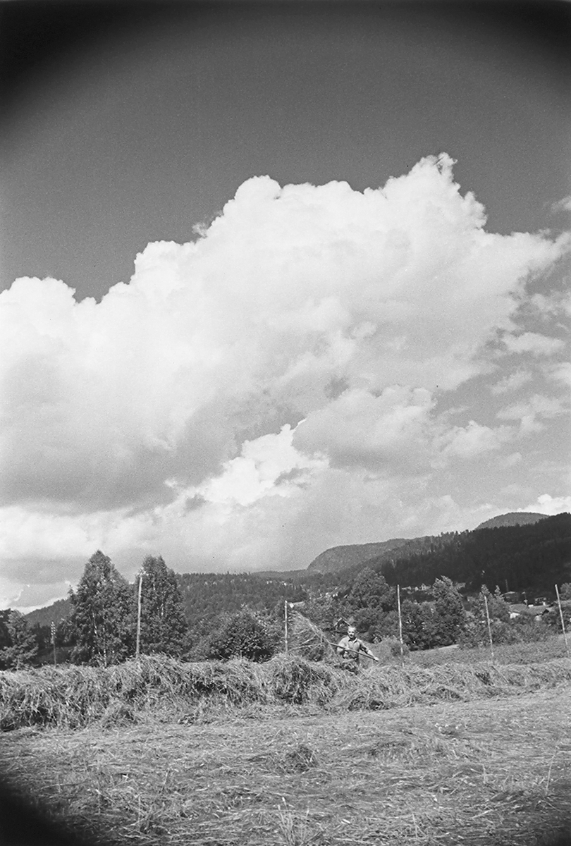 Anders Beer Wilse, Prot: Höiånd Mjøndalen