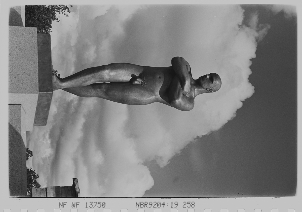 Anders Beer Wilse, Prot: Vigelands figurer