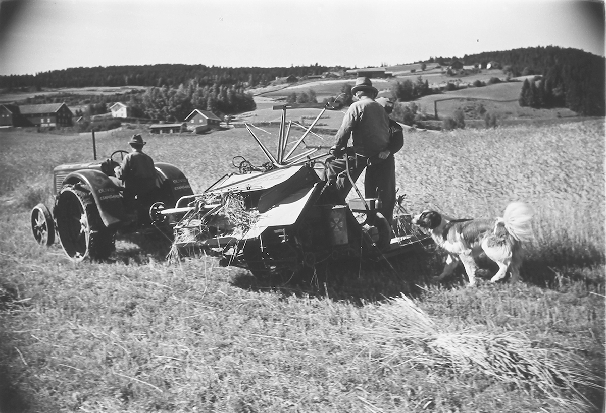 Anders Beer Wilse, Prot: Björge gård Hadeland Slåmaskin