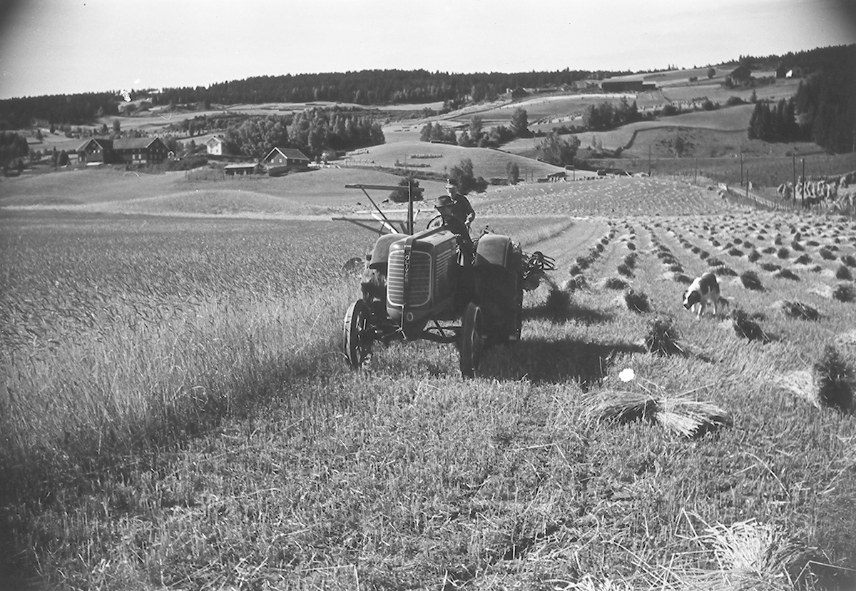 Anders Beer Wilse, Prot: Björge gård Hadeland Slåmaskin