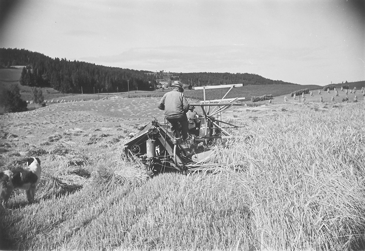 Anders Beer Wilse, Prot: Björge gård Hadeland Slåmaskin