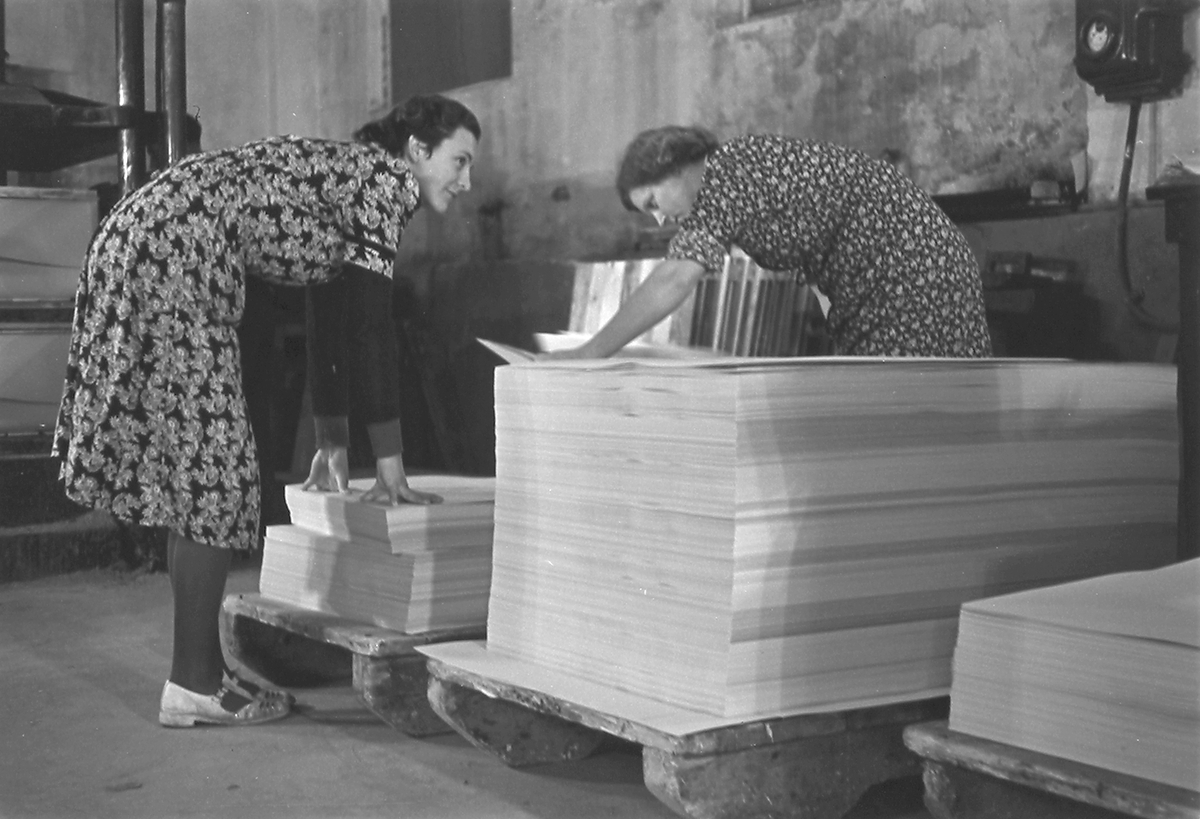 Anders Beer Wilse, Prot: Sortering
