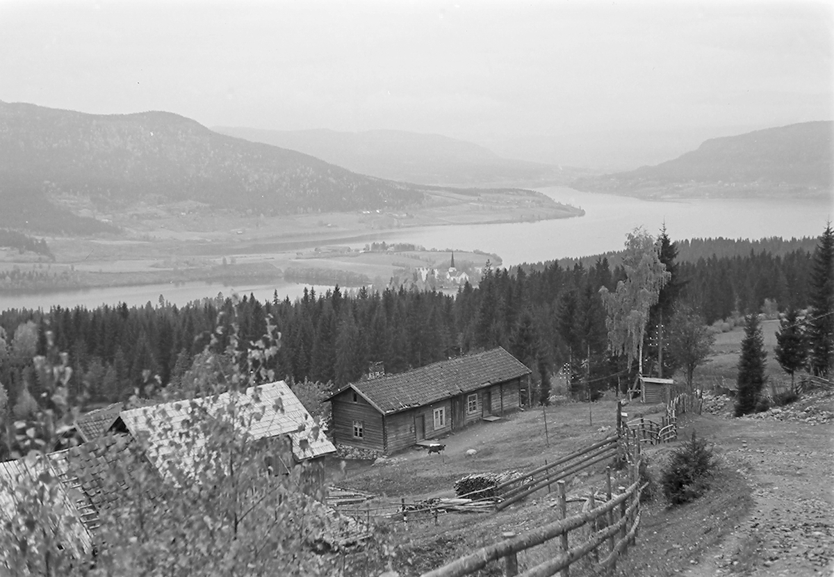 Anders Beer Wilse, Prot: Utsikten fra Fluberg Randsfjorden