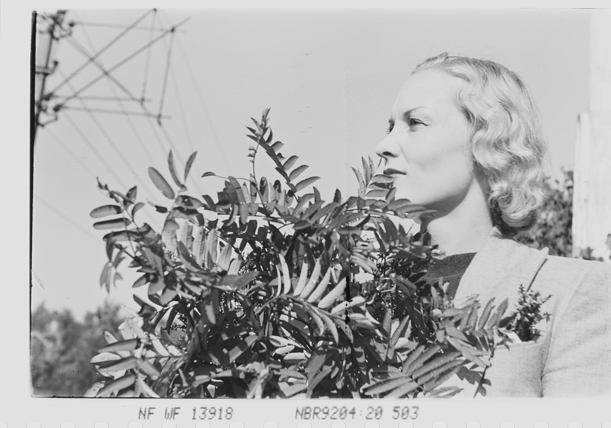 Anders Beer Wilse, Prot: Pike med blomster