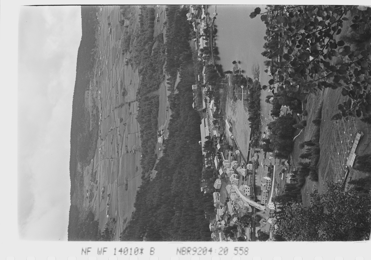 Anders Beer Wilse, Landskap rundt Fagernes, Nord-Aurdal. Fotografert 1940
