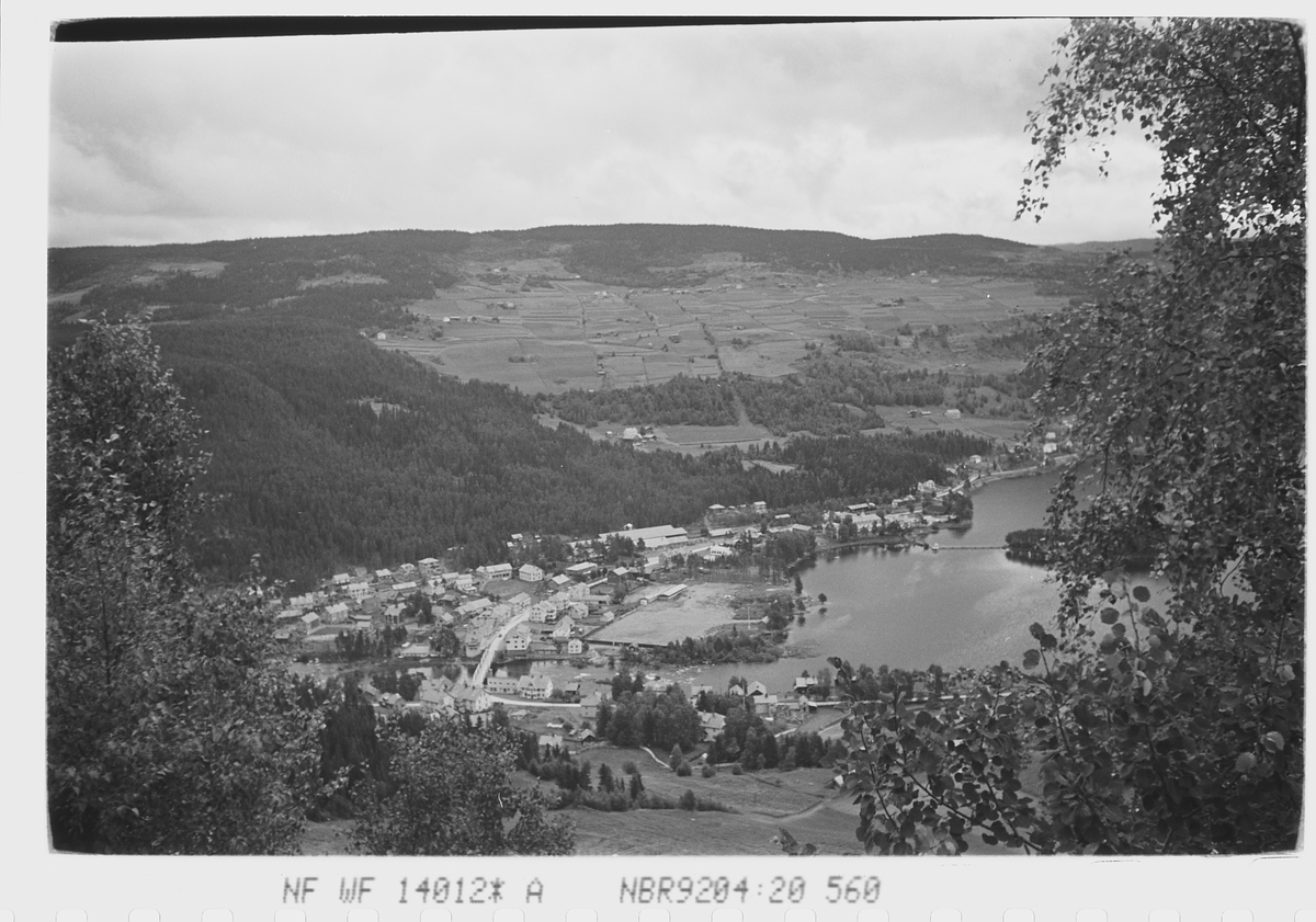 Anders Beer Wilse, Prot: Fagernes oversigt