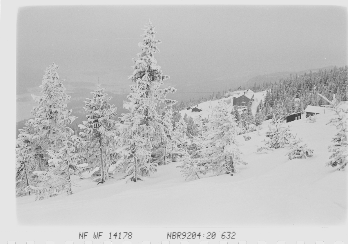 Anders Beer Wilse, Prot: Hotel Fjellhvil overskyet
