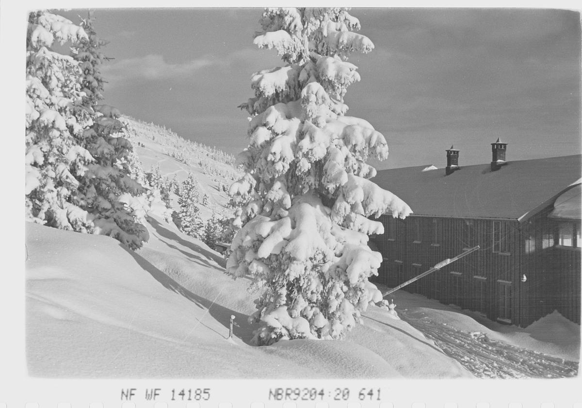 Anders Beer Wilse, Prot: Fjellhvil Hotel