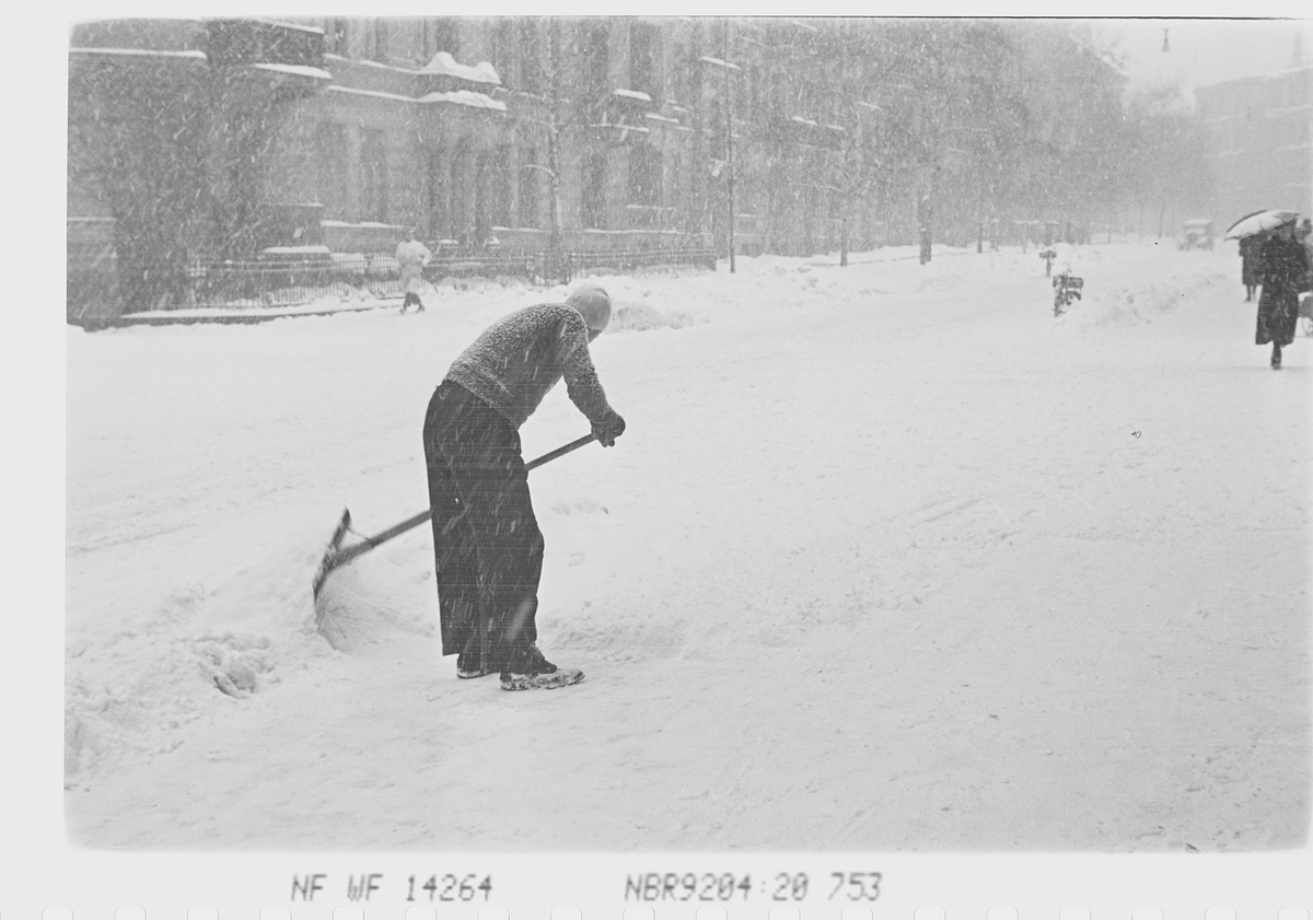Anders Beer Wilse, Prot: Sneveir snemåking