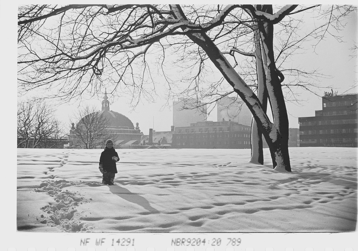 Anders Beer Wilse, Prot: Vinter Slottsparken