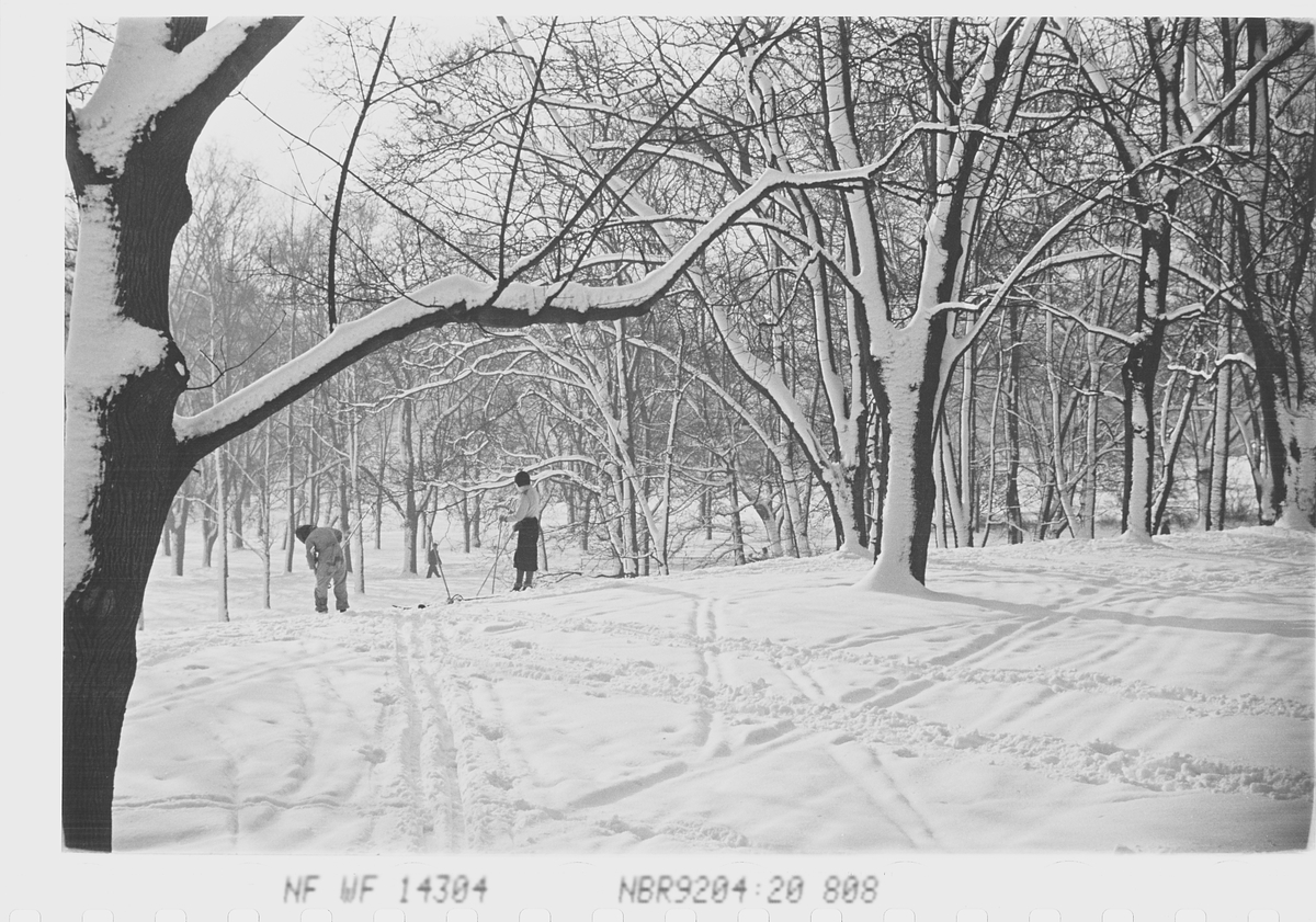 Anders Beer Wilse, Prot: Vinter Slottsparken