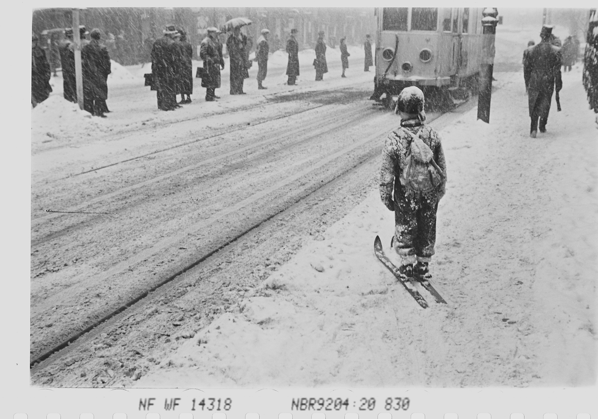 Anders Beer Wilse, Prot: Sneveir gatebilder