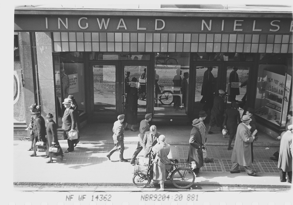 Anders Beer Wilse, Prot: Innfangst av reven (feil i prot)