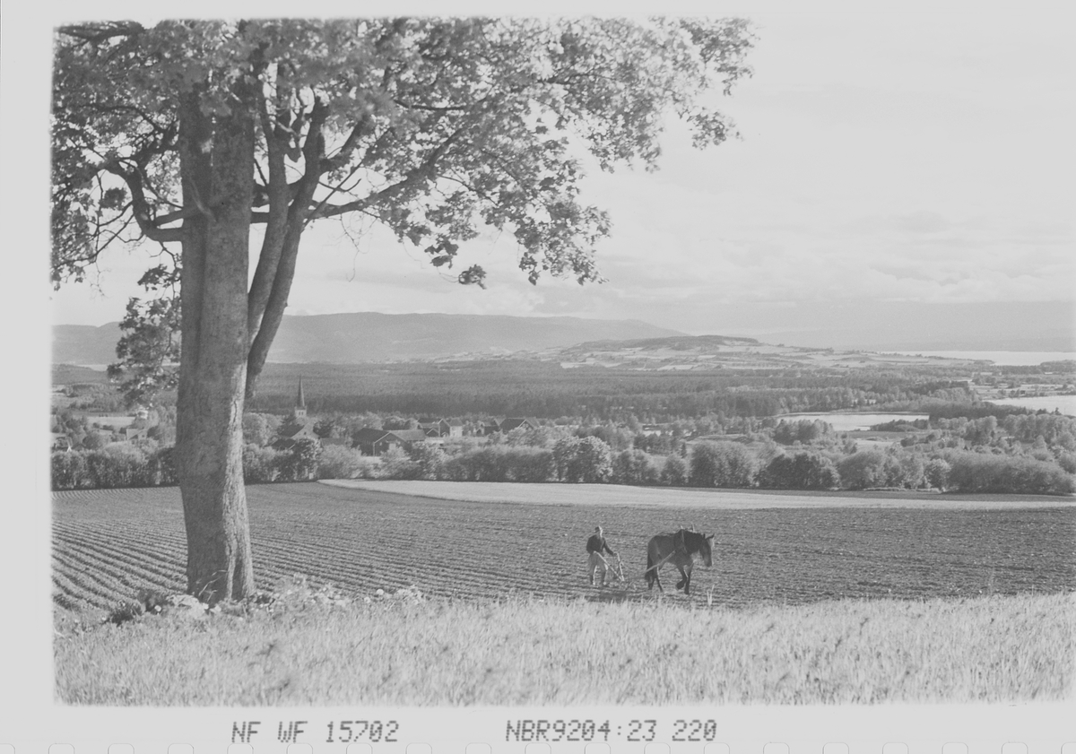 Anders Beer Wilse, Prot: Norderhov. Vårarbeide